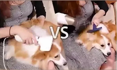 Cepillo Secador De Pelo Para Mascotas 2 En 1